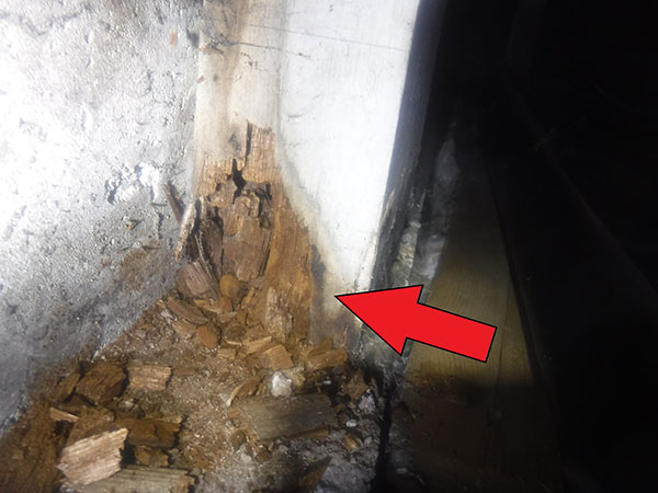 Dry rot on post in crawlspace